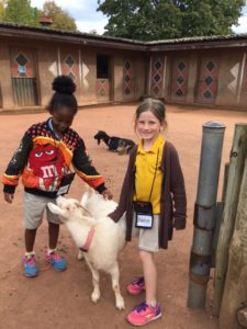 maupin students pet white goat