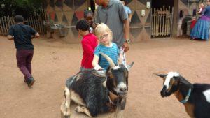 maupin girl pets goat on tree stump
