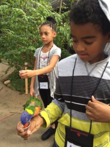maupin student feeds parakeet