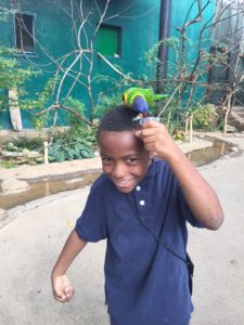 Maupin student with lorikeet on his head