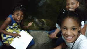 maupin elementary students with huge turtle