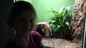 maupin elementary girl in front of snake tank