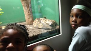maupin students look at snake