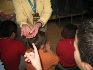shelby elementary learns about hissing cockroaches