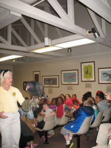 shelby elementary students learn about vulture