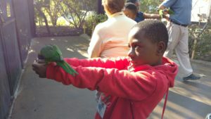 shelby elementary student holds parakeet