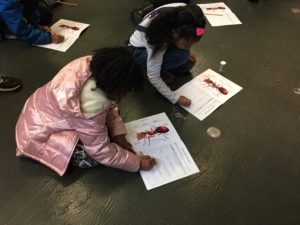 Cochran elementary girls learn about ants
