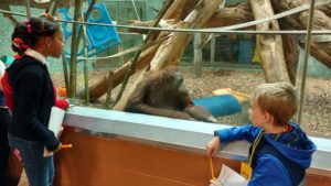 roosevelt elementary students stand in front of orangutan