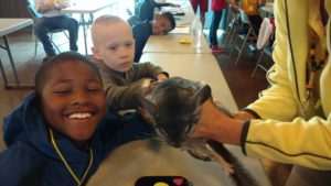 roosevelt perry students pet chinchilla