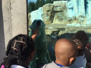 roosevelt perry student points at polar bear