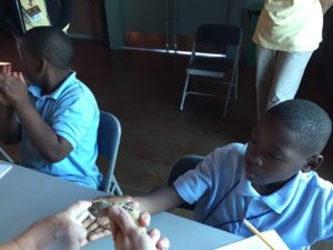 roosevelt elementary boy pets gecko