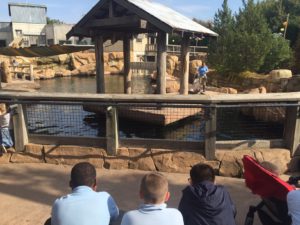 roosevelt perry students watch sea lion