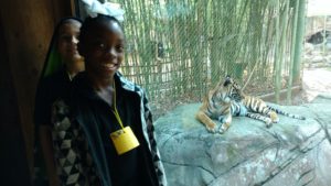 roosevelt perry girls stand by tiger laying on rock
