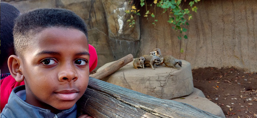 shelby elementary boy stands in front of meerkats