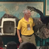 roosevelt perry students look at vulture