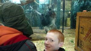 Cochran students look at gorilla