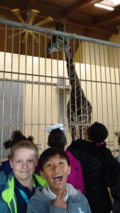 Goldsmith students stand in front of giraffe
