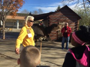 Cochran elementary students look at turkey vulture