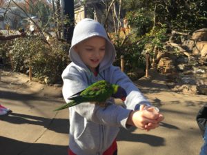 Cochran elementary student holds parakeet