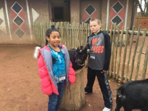 Cochran students pet goat in petting zoo