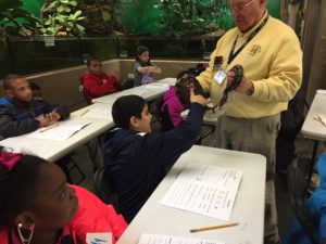 Shelby Elementary boy pets snake