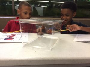 Shelby elementary boys look at Madagascar Hissing Cockroach