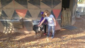 two cochran girls pet goat at petting zoo