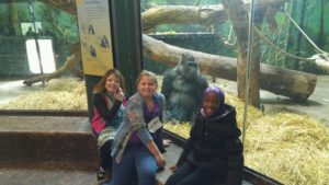 cochran students sit in front of gorilla