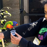 cochran girl holds parakeet