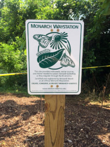 image - brown post with "monarch waystation" signage, tell about the site of flowers for the monarch butterflies as they migrate through our zoo, lots of bushes and trees greenery in background