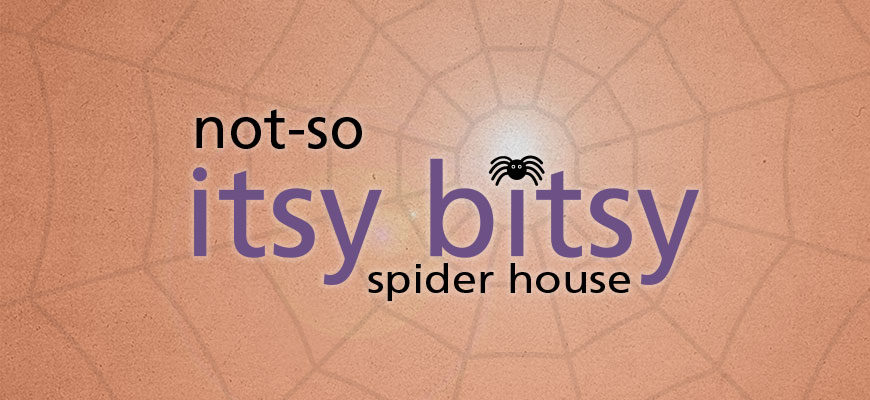 banner - blurred spider web pinkish background with small 8 legged black spider image, not-so itsy bitsy spider house