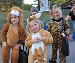 photo - 4 children dressed in costumes, brown bear, brown kangaroo, a blue shark, and a tiger, smiling, having fun