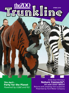 image - trunkline, spring 2018 cover, with Sean Kenney, 2 zoo employees, standing by lego built brown with black mane wildebeest and zebra display, with info for party for the planet, and lego nature connects display info