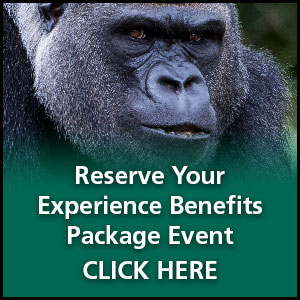 Reserve your Experience Benefits Package Event - Click here