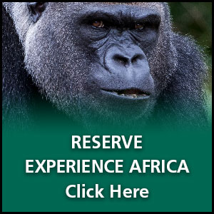 Reserve Experience Africa - click here