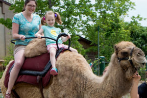 photo - mom, young female child, riding on a one hump brown camel, sitting in a saddle rake, being guided by the camel attendant, camel is wearing a face bridle