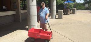photo - seasonal Les, showing a red wagon, that you can rent from Rentals at the zoo