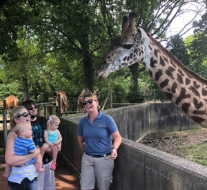 photo - of keeper, with family w/2 small children, admiring giraffe who is leanng over retaining wall, giraffe is orange color with black spots all over its body, shows 2 horns on its forehead, background are trees and camels