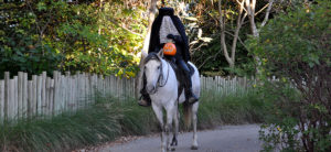 photo - the headless horseman, dressed in black, holding pumpkin in his hand, riding a white horse, walking down pathway during halloween at zoo, the headless horseman story event