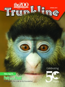 image - theZOO,Louisville, 1969-2019, Spring 2019 with red background, Trunkline, full face of colobus monkey, dark fur, with blue fur around its eyes, white nose and mouth, cheek fur is yellowish in color, white neck hair, This April Party for the Planet, Powered by the LG&E & KU, Foundation, Celebrating 50 Years