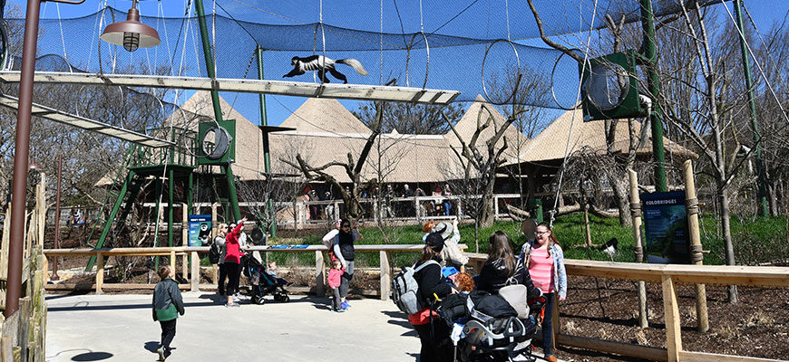 photo - the colobus monkey exhibit, with above visitors pedway for the monkeys to run back and forth, for visitors to see them interacting with each other, plus grass enclosure where they sit and eat, variety of visitors observing the monkeys on a sunny day