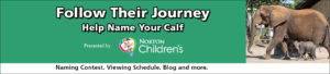 banner - green, white background, Follow Their Journey, Help Name Your Calf, Presented by Norton Children's balloon logo, Naming Contest, Viewing Schedule, Blog and more. r/side has image of Fitz, grey baby elephant, walking alongside mom, Mickey, who towers over him