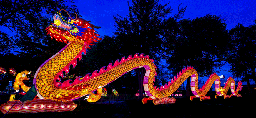 photo - wild lights lit up orange dragon, with pink spikes on back from head to tail, with red head scales, blue design markings on face, mouth open, background is trees and night sky