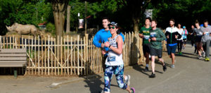 photo - several male and female runners participating in Throo the Zoo 5K, going past fenced rhino yard, rhino in background