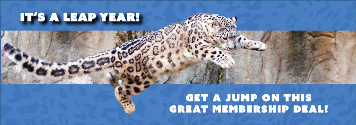 Leap Year Special Offer | Louisville Zoo