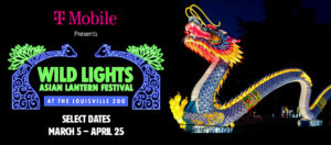 banner - r/side Wild Lights Asian Lantern Festival green lettering, At The Louisville Zoo in blue box, placed between archway images of blue neck, head of giraffe, with bushes on archway, Select Dates, March 5 - April 25; r/side Asian long dragon, blue color scales, from neck to tail, with yellow spikes along whole body length, with head full of colorful variety spikes, over whole head, mouth open, background color is black