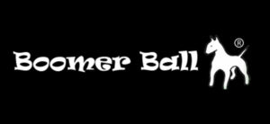 banner - all black background, with white lettering Boomer Ball, with white shadow of standing dog