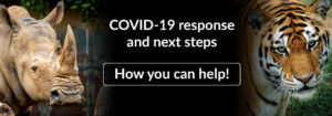 COVID-19 response and next steps. How you can help!