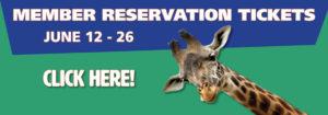 banner - background is blue and green, with giraffe neck, head, full face overlay, Member Reservation Tickets, June 12 - 26, Click Here!