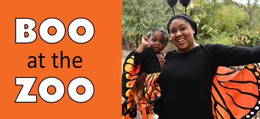 banner - BOO at the ZOO; with photo of mom holding child, dressed in costume as black/orange monarch butterflies with fuzzy antennae, smiling and waving.
